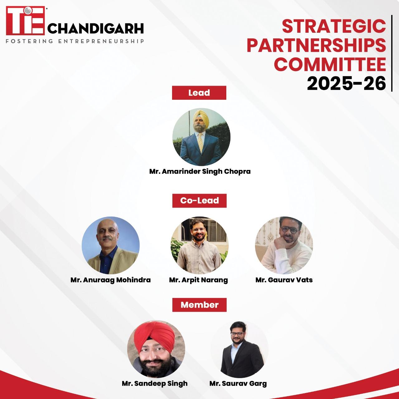 strategic partnership committee